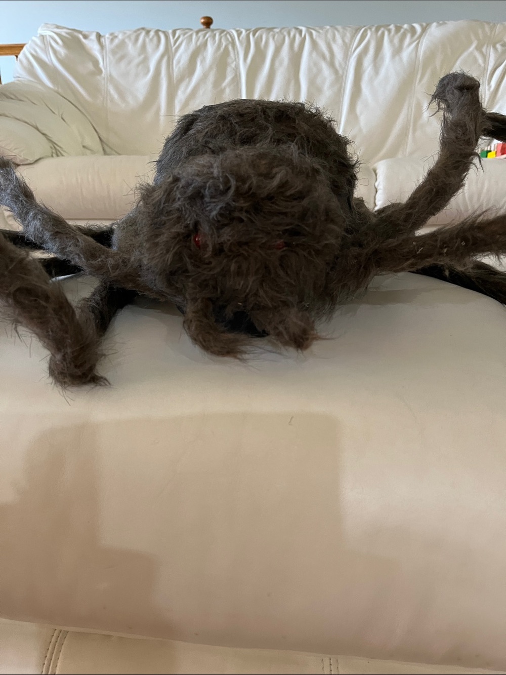 Halloween decor - new with tag-